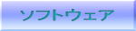 ソフトウェア(MS-WORDやMS-EXCELからエンタープライズ用ソフトまで)