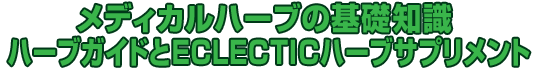 fBJn[ůbm n[uKChECLECTICn[uTvg