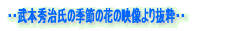 EE{G̋G߂̉Ԃ̉f蔲EE