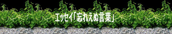 Welcome to www.cgbsgroup.com 