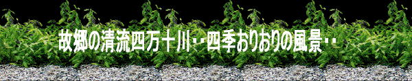 Welcome to www.cgbsgroup.com 