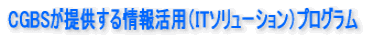 CGBSが提供する情報活用(ITソリューション)プログラム