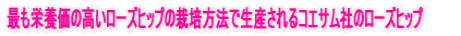 łh{̍[Yqbv͔̍|@ŐYRGTЂ̃[Yqbv
