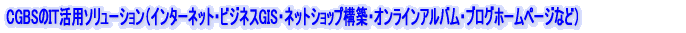 CGBSのIT活用ソリューション(インターネット・ビジネスGIS・ネットショップ構築・オンラインアルバム・ブログホームページなど)