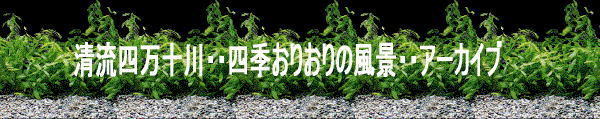 Welcome to www.cgbsgroup.com 
