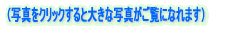 �i�ʐ^���N���b�N����Ƒ傫�Ȏʐ^�������ɂȂ�܂��j