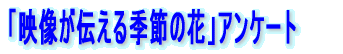�p�\�R�����p�҃A���P�[�g