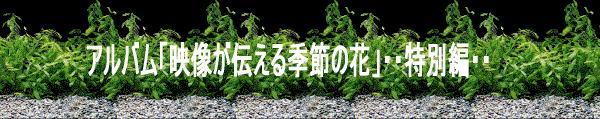 Welcome to www.cgbsgroup.com 