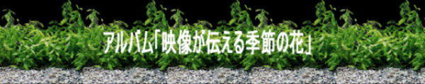 Welcome to www.cgbsgroup.com 