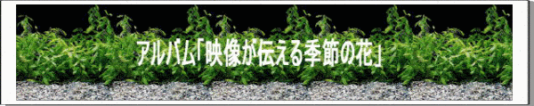 Welcome to www.cgbsgroup.com 